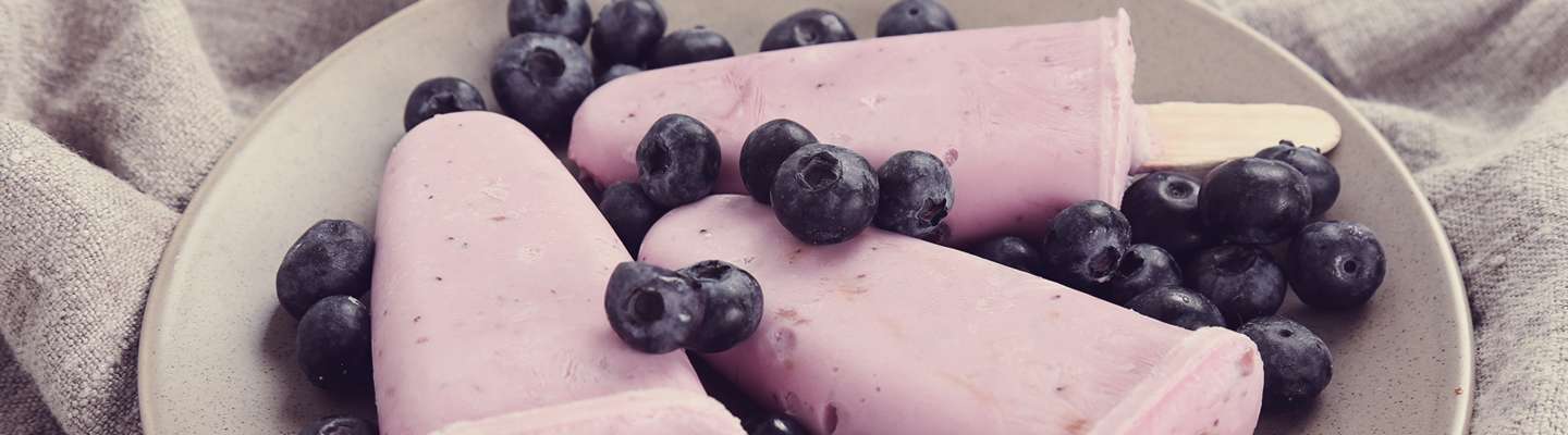 blueberry puree