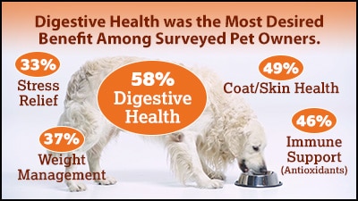 Dog gut health graphic